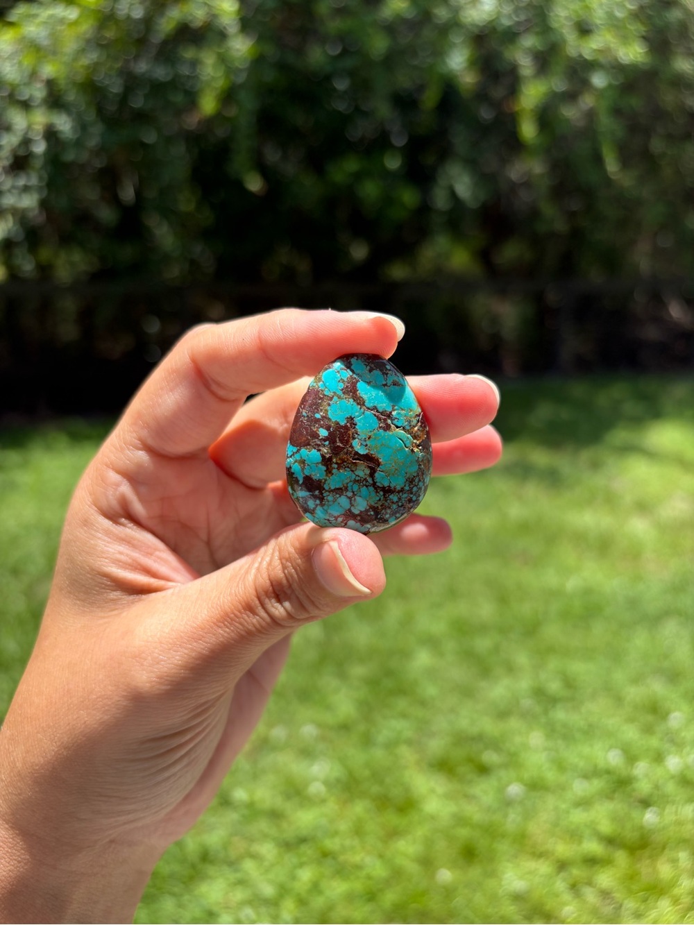 Bisbee Turquoise Cabochon 65 Carats